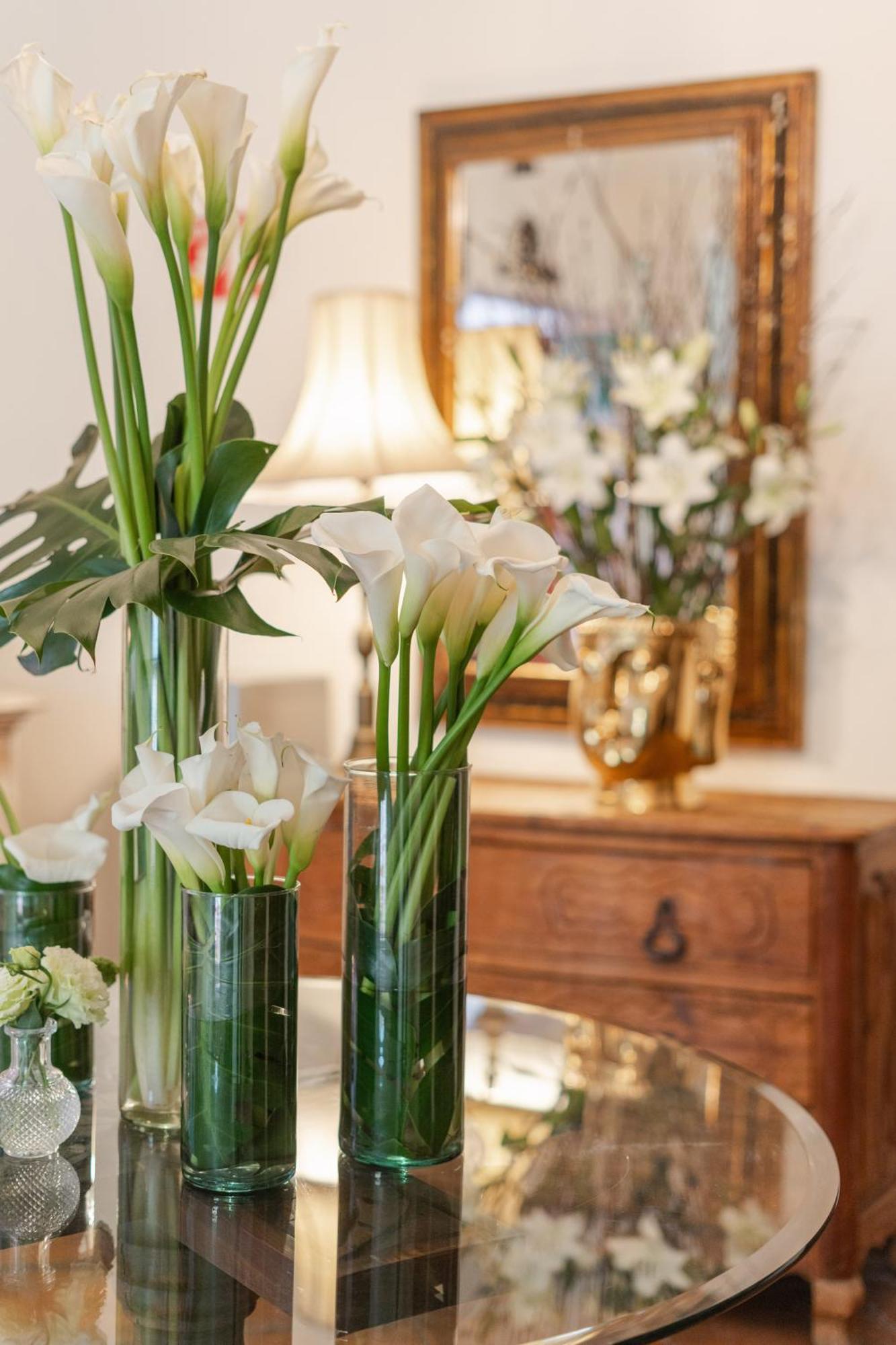 Villa Ganz Boutique Hotel Гуадалахара Екстериор снимка